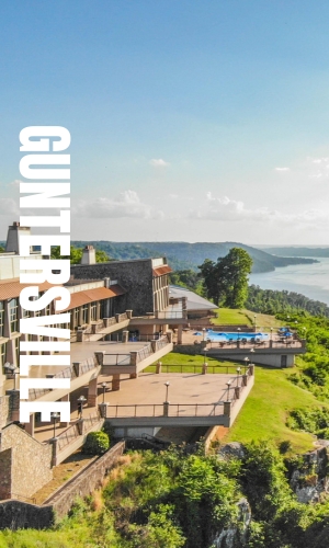 Search for homes in guntersville